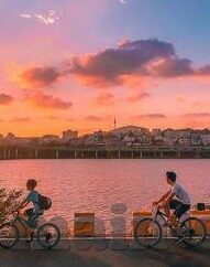 果冻传媒资源网-探索果冻传媒资源网的多元魅力与价值