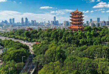 麻豆传媒映画app-麻豆传媒映画APP，辞旧迎新，以技术之力焕发文化新光彩